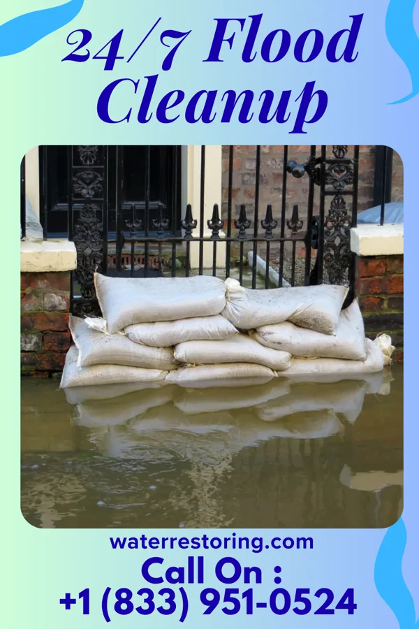 24/7 Flood Cleanup in Lake Success, NY