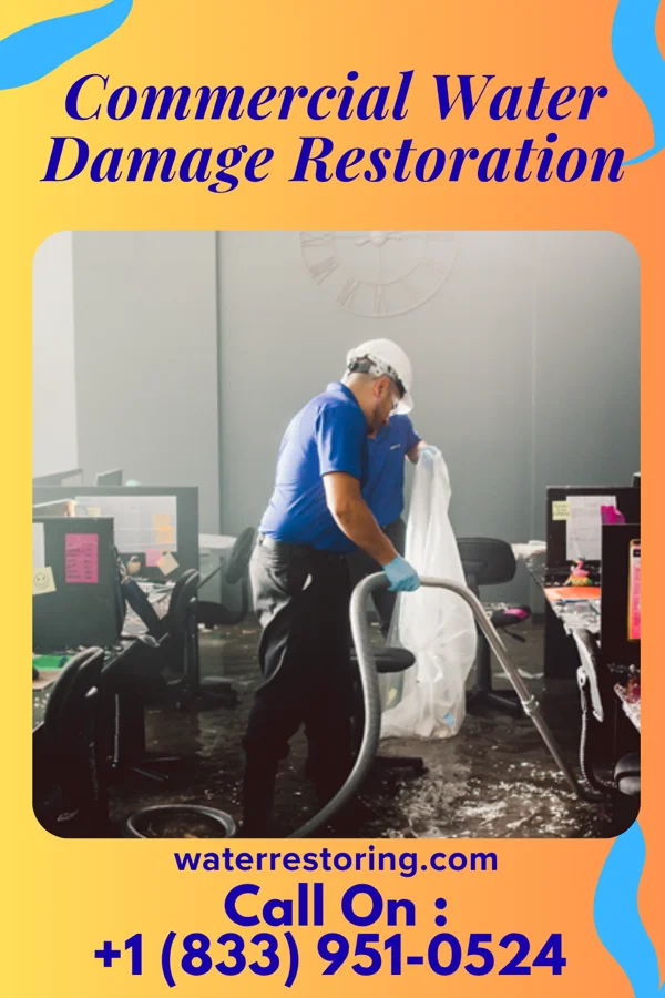 Commercial Water Damage Restoration in Lake Success, NY
