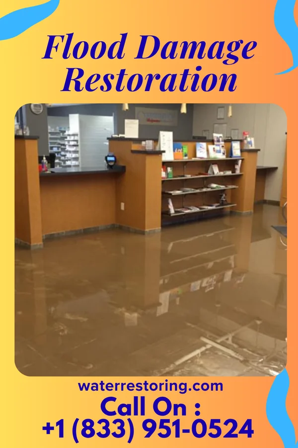 Flood Damage Restoration in Lake Success, NY