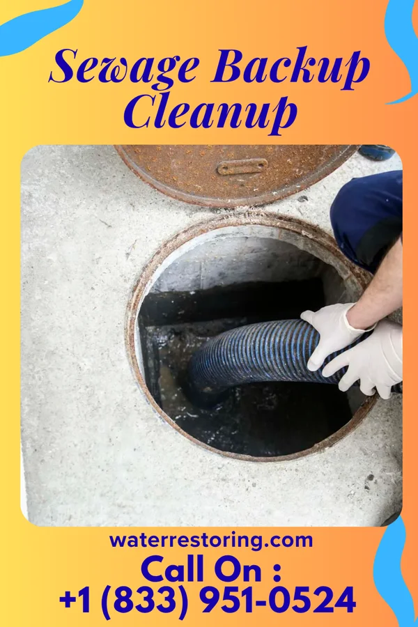 Sewage Backup Cleanup in Lake Success, NY