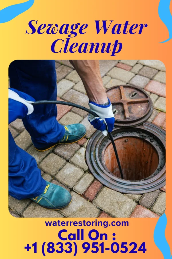 Sewage Water Cleanup in Lake Success, NY